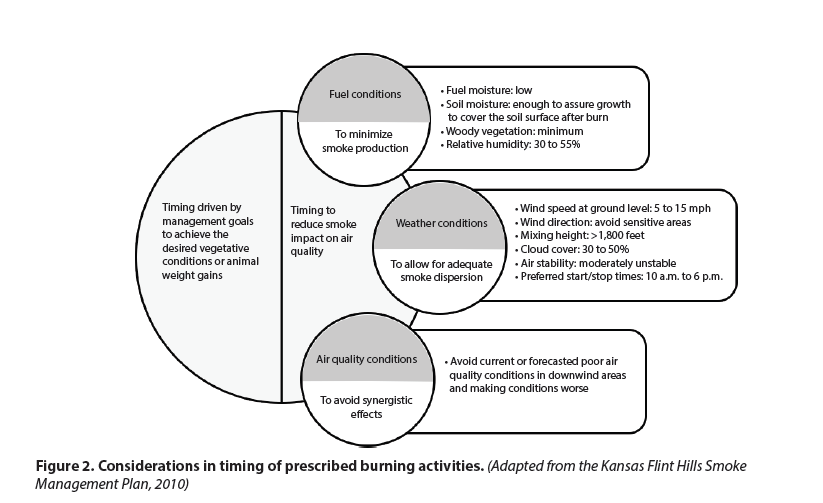 Right days for burning Learning to Burn